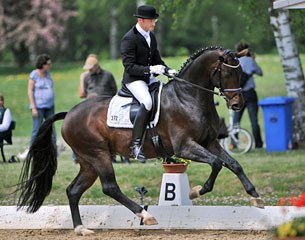 Ralf Kornprobst and Franz Joseph at the 2011 Munich Bundeschampionate Qualifier :: Photo © TS-foto.de