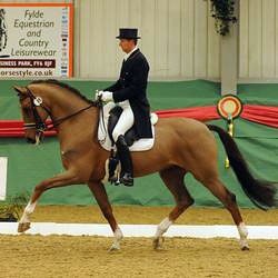 Gareth Hughes and Sandman :: Photo © British Dressage