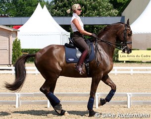 Amy Stovold and MacBrian in the "Carriere d'Honneur" at the 2011 CDIO Saumur :: Photo © Silke Rottermann