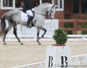 The action happens in the dressage arena :: Photo © Astrid Appels