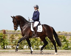 Don Tango :: Photo © De Dalhoeve