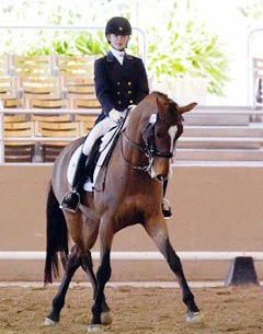 Catherine Chamberlain on Verdicci