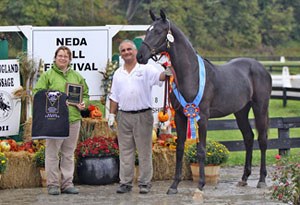 Durante (by Dacaprio- x Weltmeyer), owned and bred by Heather Waite, was named the USDF Dressage Sport Horse Breeding Yearling Colt/Gelding Champion and also won the Region 8 Colt/Gelding Champion title :: Photo © Carole MacDonald