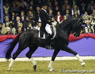 Steffen Frahm on the Hanoverian branded Hampton (by His Highness x Rotspon). The black could be more carrying behind but showed incredible rideability and great solid dressage training
