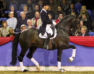 Markus Gribbe on the Westfalian Farewell III (by Fidermark x Rosenkavalier). This horse has developed himself into a very solid Grand Prix horse with beautiful, regular piaffe and passage work