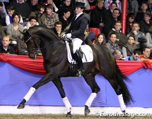 Laura Hassler on the Oldenburg Diamo Gold (by Dimaggio x Ex Libris x Grundstein II). Gorgeous stallion but at the parade he lacked in self carriage and power from behind