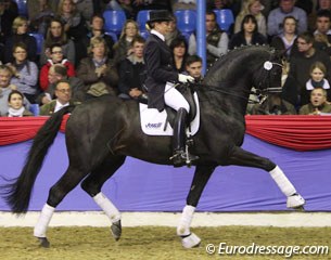 Jennifer Hoffmann on the Westfalian Rubinio B (by Rubin Royal x Florestan). This dark bay has developed into a very impressive stallion: well muscled, much rhythm & swing in trot, uphill in canter, big in walk but the rhythm was not very clear