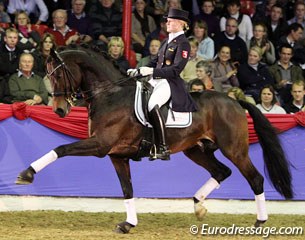 Sophie Holkenbrink on Rock Forever (by Rockwell x Landstreicher). The bay stallion is usually ridden by Oliver Oelrich but Sophie took over for the Parade. Though not always on the same wavelength, Rock Forever showed some impressive ground cover