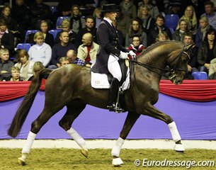 Silke Tietjen on the Swedish bred Diomedes (by Belissimo M x Flemmingh x Magini)