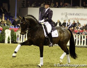 Silke Tietjen on Royal Doruto  (by Royal Hit x Rubinstein). Very well trained, not the strongest behind, but a lovely dressage horse