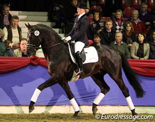 Danielle van de Groep on the double world champion Astrix, a KWPN stallion by Olivi x Obelisk. The rider was very busy in the saddle and restless with her hands which meddled with the harmony but the rideability of this stallion was excellent. 