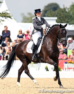 Alonzo at the 2011 World Young Horse Championships in Verden :: Photo © Astrid Appels
