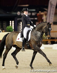 Carina Nevermann Torup on Kafelnikov at the 2011 CDI Zwolle :: Photo © Astrid Appels