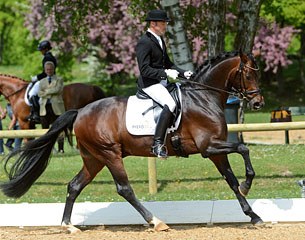 Ralf Kornprobst on Diamond of Glory