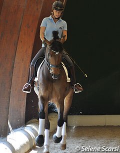 Valentina on Ranieri. The sides of the indoor arena can be opened in summer to improve air circulation.