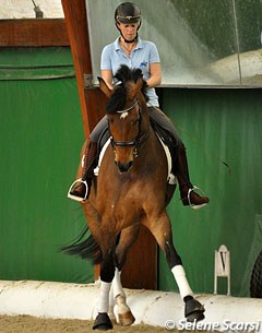 Lateral movements such as leg-yielding or shoulder-in are essential to improve a horse's suppleness