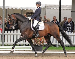 Markus Suchalla and Catoo at the 2012 Bundeschampionate :: Photo courtesy Holsteiner verband
