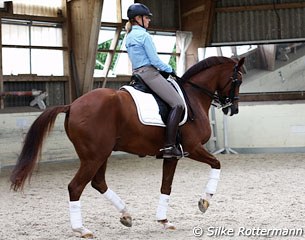 Marcela and her upcoming Grand Prix horse Lazander