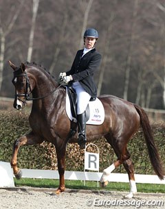Karen Galema on the attractive liver chestnut mare Cadassa (by Johnson x Negro). The mare was all over the place, very unruly in the contact. The trot was quite hackney-like with more lift than stretch, but Cadassa is a talented star for the future!