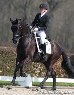 Iris Groeneveld on Boogie Woogie (by Tango x Metall). The black gelding excelled in canter but struggled with the contact and flying changes