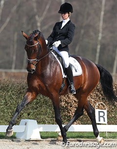 Eva Möller and KWPN Licensing Champion Bordeaux at the Wild Card Day in Ermelo :: Photo © Astrid Appels