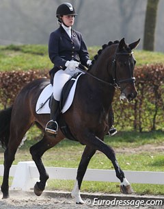 Jeanine Nieuwenhuis on Baldacci (by Havidoff x Rubiquil). This pair is doing well in the Dutch junior riders' circuit but at the wild card day Baldacci lacked in suppleness and scope to earn a ticket for the selection trials