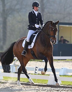 Sofie van Vugt on Cidamorka (by Jazz x Zuidhorn). This bay mare was certainly one of the most talented of the day. Elegant horse with a super hindleg in canter, much cadence in trot and good ground cover in walk