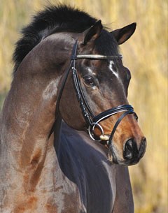 Caprimond (by Karon x Mackensen)