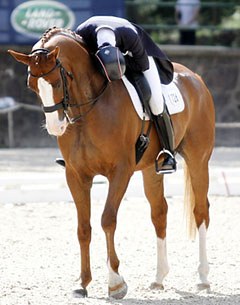 Caroline Roffman and Pie win the 2012 U.S. Intermediaire I Championship :: Photo © Sue Stickle
