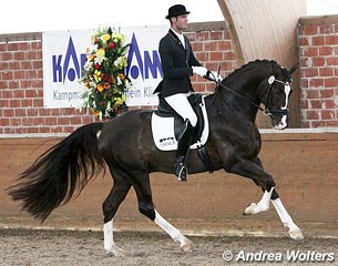 Marcus Hermes on Nancy Gooding's Hanoverian stallion Flynn (by Falsterbo x Walt Disney x Lemon xx)