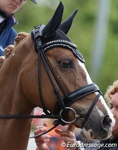 Rosalie Bos' Paso Double (by Bodo)