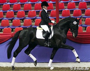 Scuderia (by Sir Donnerhall I x Escudo x Matcho AA) :: Photo © LL-foto.de