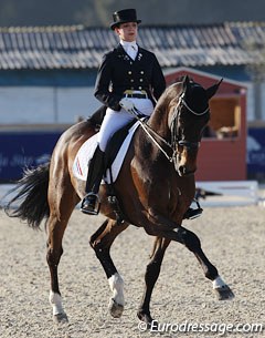 Dutch young rider Lotte Jansen on Trappel. The massive bay gelding was initially competed by Jarissa van Silfhout, but she has called dressage quits and is now focusing on regional show jumping