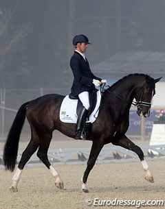 Willem Jan Schotte on the 5-year old KWPN bred Chuppy Checker (by Osmium)