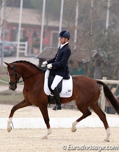 Willem Jan Schotte on the 5-year old Dutch warmblood Citho (by Johnson)