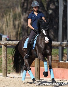 Swiss pony rider Estelle Wettstein on Nice Blue Eyes. Wettstein also made her young riders' debut on her mom's Grand Prix horse Le Primeur. 
