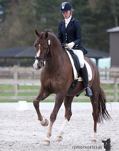 Isabel Cool and Constand at the 2012 CDN Zandhoven :: Photo © Sarah Janssens