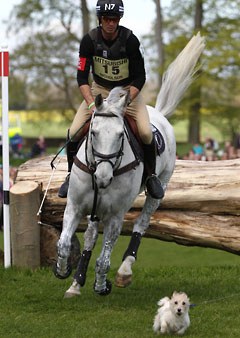 The winning photo of the 2014 Silver Camera Award by Pam Langrish, featuring Andrew Nicholson on Avebury at the 2013 CCI Badminton 