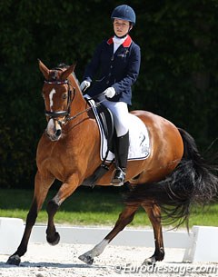Camille Boireau and Hesselteich's Desert Rose at the 2013 CDI Compiegne :: Photo © Astrid Appels