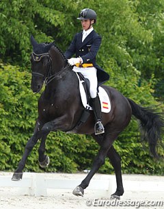 Juan Matute Guimon on Don Diego at the 2013 CDI Compiegne :: Photo © Astrid Appels