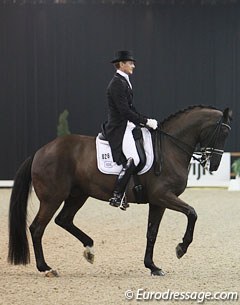 Edward Gal and Undercover at the 2013 CDI Drachten :: Photo © Astrid Appels