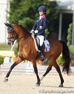 Hesselteich's Desert Rose at the 2013 European Pony Championships :: Photo © Astrid Appels