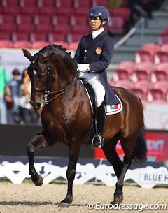 Gonçalo Carvalho and Rubi AR at the 2013 European Championships :: Photo © Astrid Appels