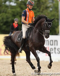 Edward Gal and Voice schooling at the 2013 European Dressage Championships. Voice was a Dutch team reserve horse for Herning :: Photo © Astrid Appels
