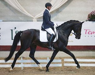 Tom Heylen and El Capone at the 2013 Belgian Young Horse Championships in Gesves :: Photo © Temps des Poses
