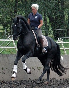 Uta Gräf and Deliano W at her yard in Kircheimbolanden, Germany, in November 2013 :: Photo © Wilhelmer