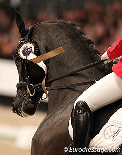 Draw reins in the prize giving ceremony