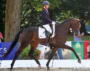 Andreas Muller on Biscaya (by Bordeaux x Quattro B) at the 2013 Oldenburg Regional Championships :: Photo © LL-foto.de
