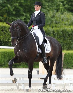 Anne van Olst on the talented Netto (by Negro). In Roosendaal the stallion was overcollected and couldn't find a regular rhythm in the piaffe, passage nor extended trot. He does have amazing scope in the front leg. A real star for the future.