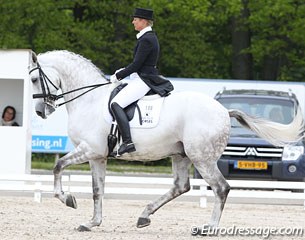 Van Olst's Grand Prix horses Clearwater and Taikoen haven't been out since the Olympics, but Anne has two new GP stars on the way: Netto and this grey Zidhane (by  Don Ruto x Negro)